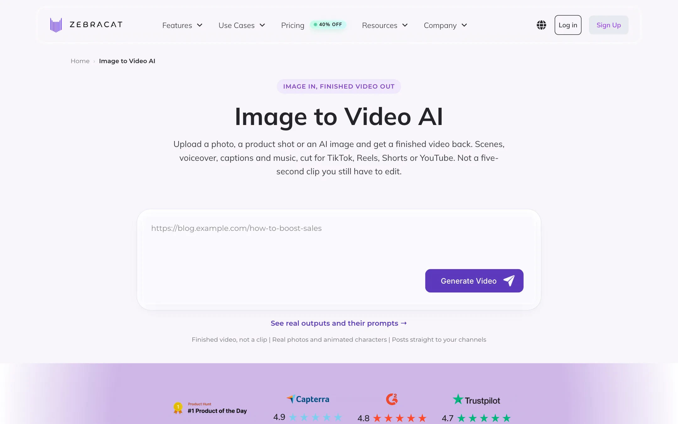 Zebracat image to video page showing one image turned into a finished video